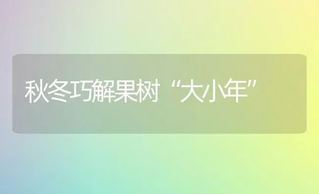 秋冬巧解果树“大小年” | 瓜果种植