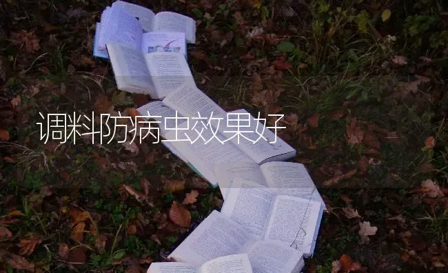 调料防病虫效果好 | 瓜果种植