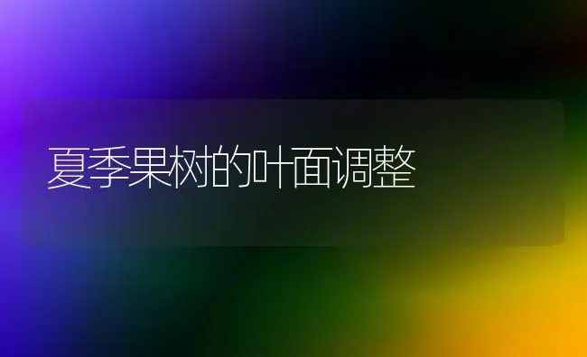 夏季果树的叶面调整 | 瓜果种植