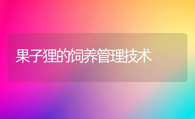 果子狸的饲养管理技术 | 瓜果种植