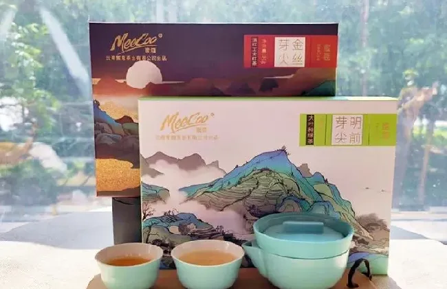 食用常识|芽尖茶属于什么茶