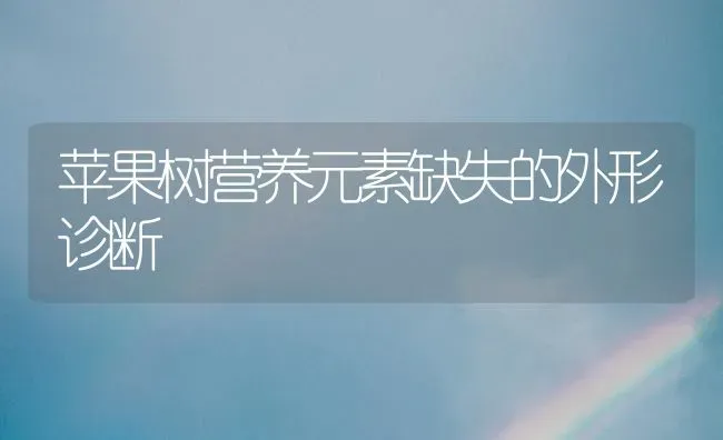 苹果树营养元素缺失的外形诊断 | 瓜果种植