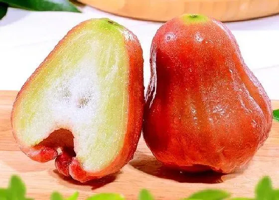 果实科普|莲雾多久开花结果