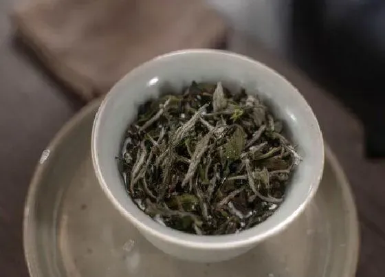 食用常识|寿眉茶属于什么茶