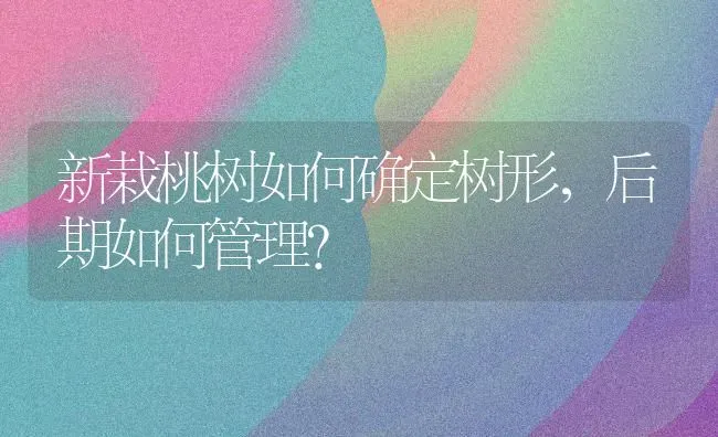 新栽桃树如何确定树形，后期如何管理？ | 瓜果种植