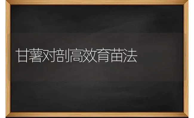 甘薯对剖高效育苗法 | 瓜果种植