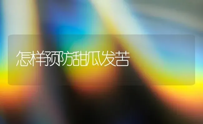 怎样预防甜瓜发苦 | 瓜果种植