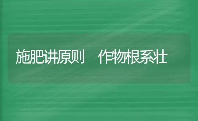 施肥讲原则 作物根系壮 | 种植肥料施肥