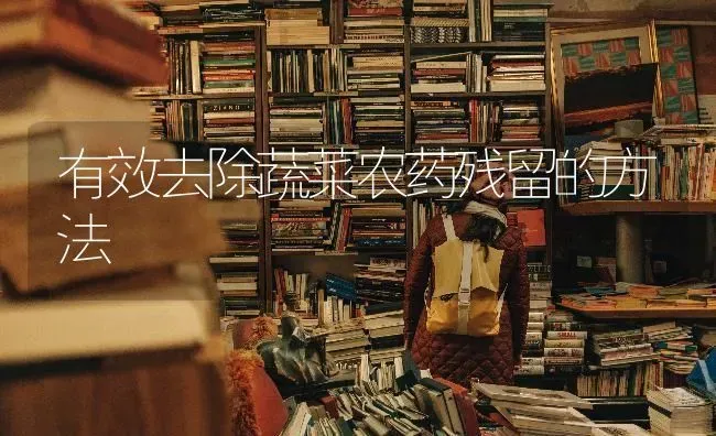 有效去除蔬菜农药残留的方法 | 蔬菜种植