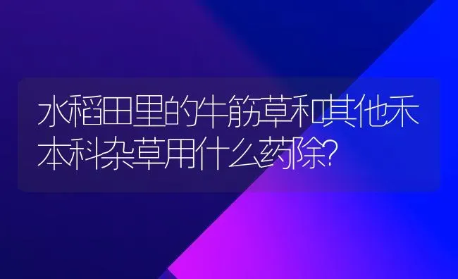 水稻田里的牛筋草和其他禾本科杂草用什么药除？ | 粮油作物种植