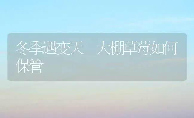 冬季遇变天 大棚草莓如何保管 | 瓜果种植