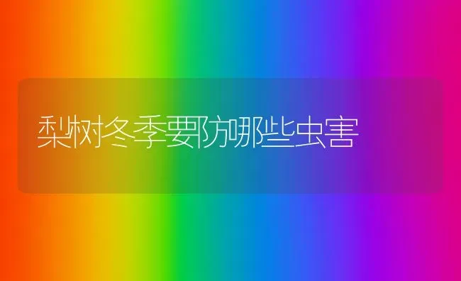 梨树冬季要防哪些虫害 | 瓜果种植