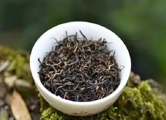 食用须知|三年未开封的红茶还能喝吗（红茶叶超过3年还能喝吗）
