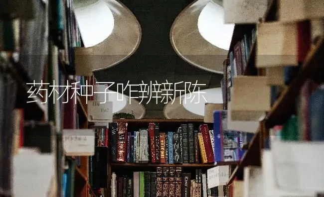 药材种子咋辨新陈 | 药材种植