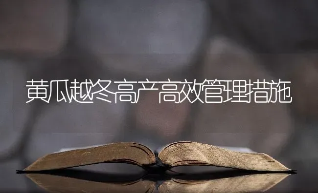 黄瓜越冬高产高效管理措施 | 蔬菜种植
