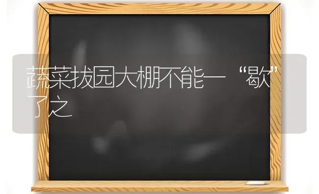 蔬菜拔园大棚不能一“歇”了之 | 蔬菜种植