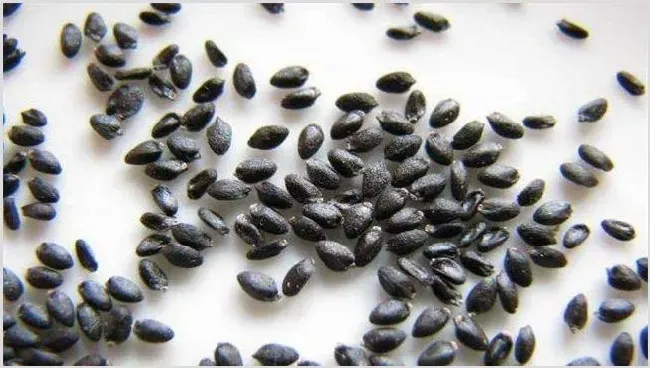 火龙果树的种植方法 | 耕种资料