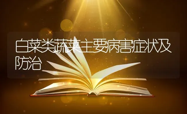 白菜类蔬菜主要病害症状及防治 | 蔬菜种植