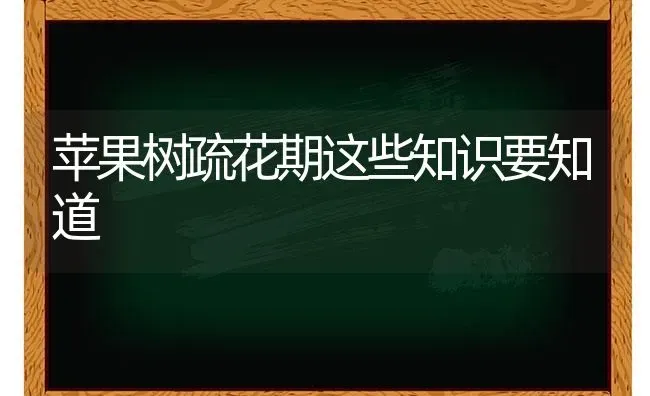 苹果树疏花期这些知识要知道 | 瓜果种植