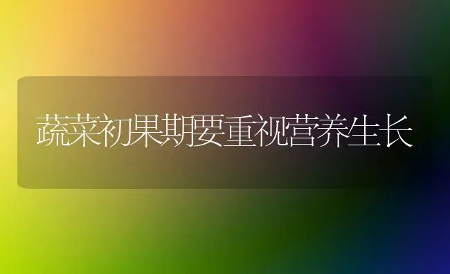 蔬菜初果期要重视营养生长 | 蔬菜种植