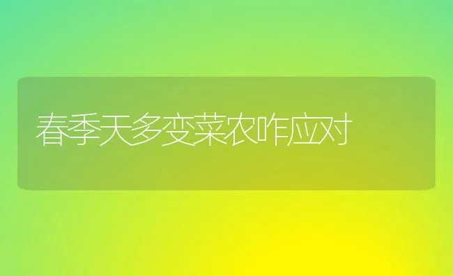 春季天多变菜农咋应对 | 蔬菜种植