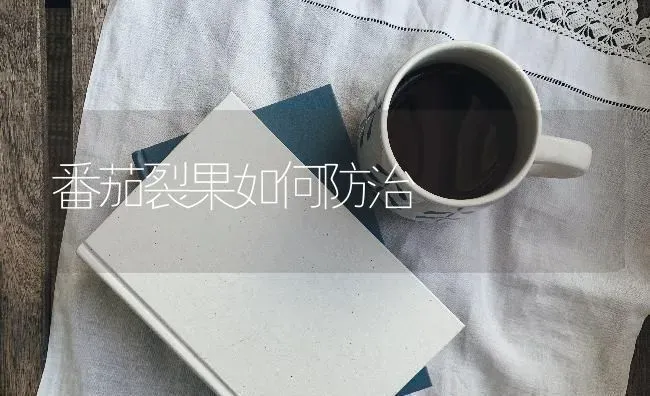 番茄裂果如何防治 | 瓜果种植