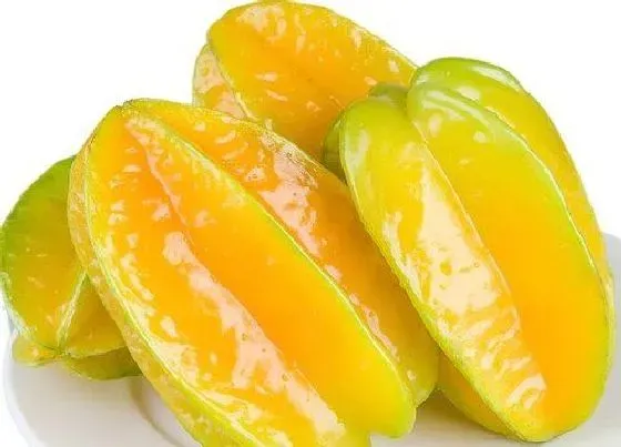 果实成熟|杨桃怎么看熟没熟