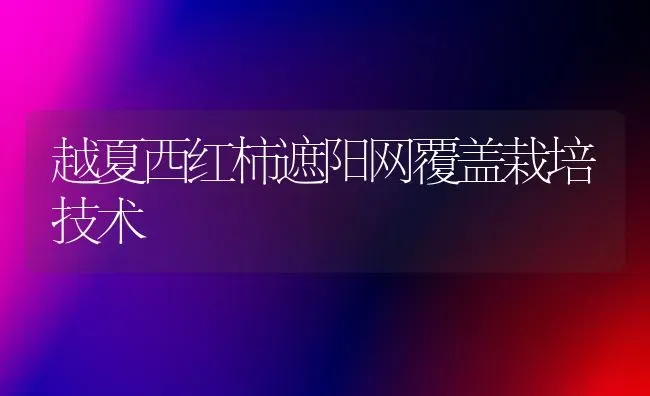 越夏西红柿遮阳网覆盖栽培技术 | 蔬菜种植
