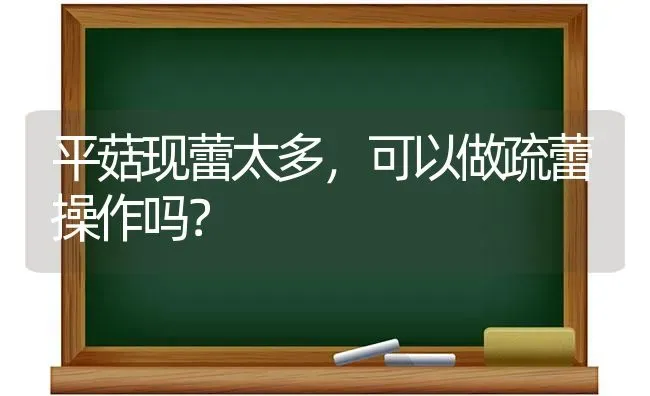 平菇现蕾太多，可以做疏蕾操作吗？ | 食用菌种植