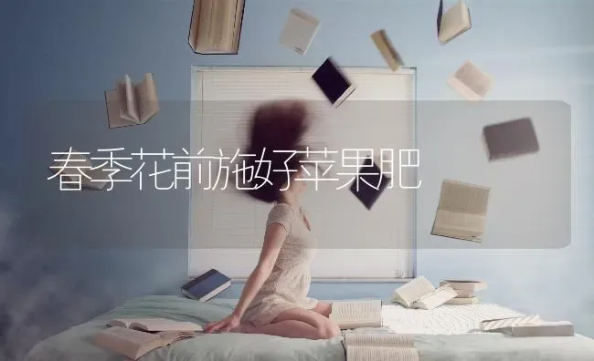 春季花前施好苹果肥 | 瓜果种植