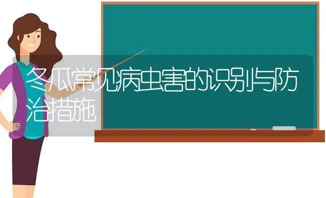 冬瓜常见病虫害的识别与防治措施 | 种植病虫害防治