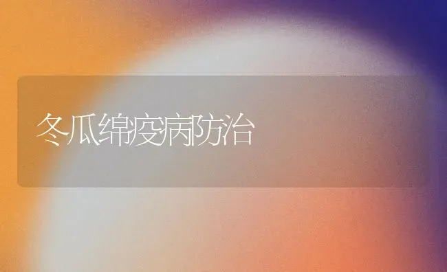 冬瓜绵疫病防治 | 蔬菜种植