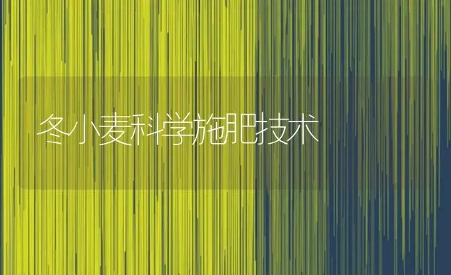 冬小麦科学施肥技术 | 粮油作物种植