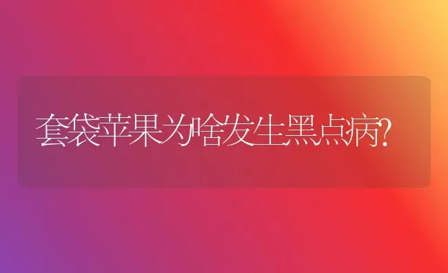 套袋苹果为啥发生黑点病？ | 瓜果种植