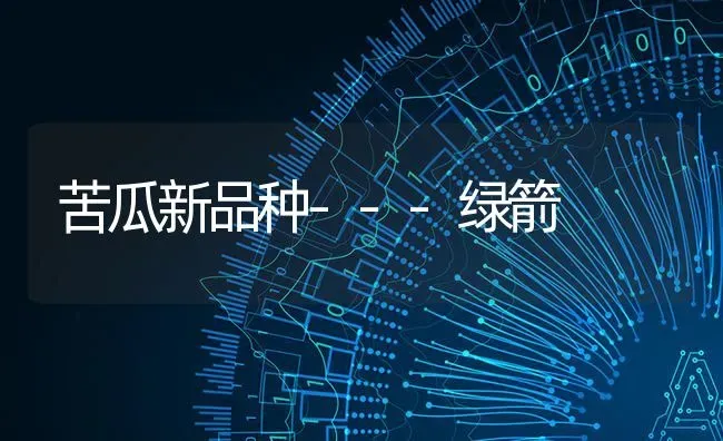 苦瓜新品种---绿箭 | 蔬菜种植