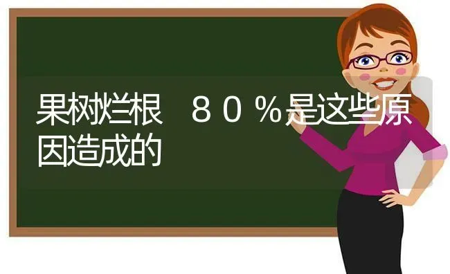 果树烂根 80%是这些原因造成的 | 瓜果种植