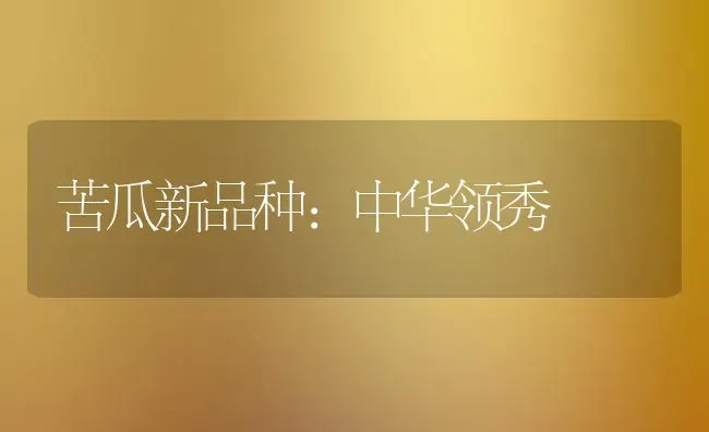 苦瓜新品种：中华领秀 | 蔬菜种植