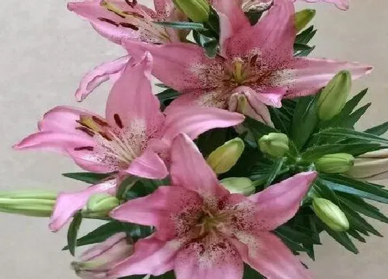送花|结婚纪念日送什么花 周年纪念适合给老婆的四种鲜花