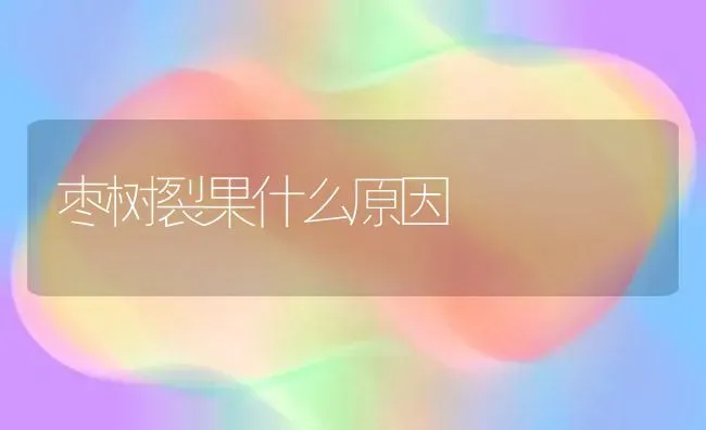 枣树裂果什么原因 | 瓜果种植