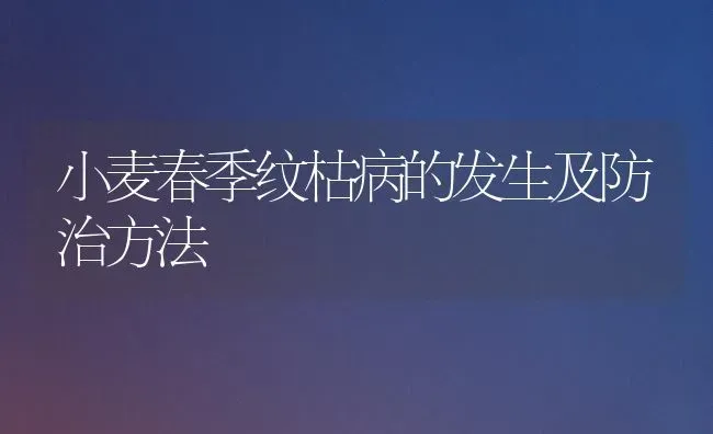 小麦春季纹枯病的发生及防治方法 | 粮油作物种植
