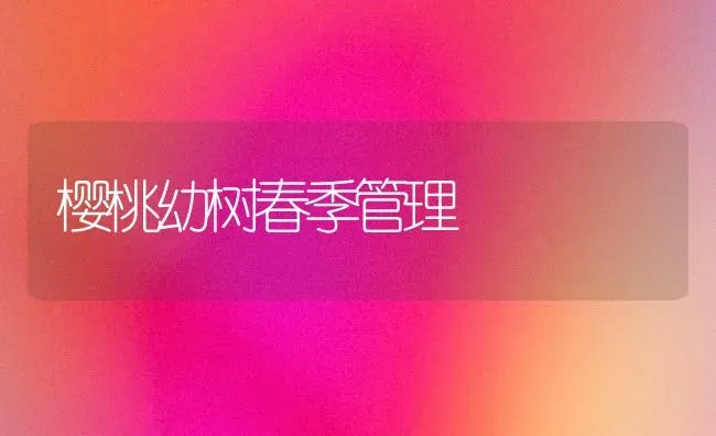 樱桃幼树春季管理 | 瓜果种植
