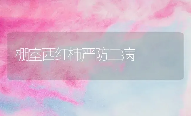 棚室西红柿严防二病 | 蔬菜种植