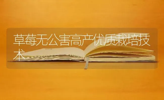 草莓无公害高产优质栽培技术 | 瓜果种植