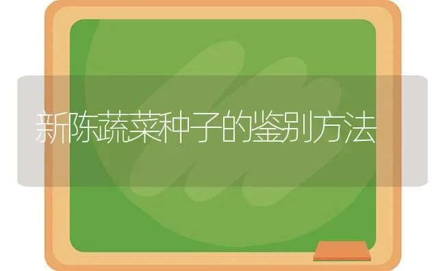 新陈蔬菜种子的鉴别方法 | 蔬菜种植