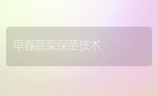 早春蔬菜保苗技术 | 蔬菜种植