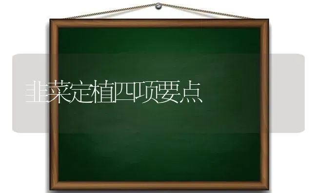 韭菜定植四项要点 | 蔬菜种植