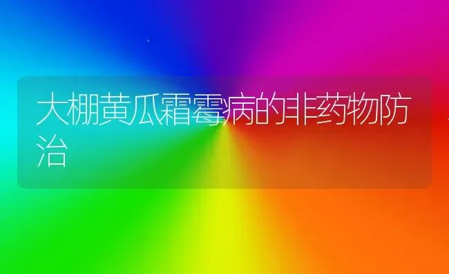 大棚黄瓜霜霉病的非药物防治 | 蔬菜种植