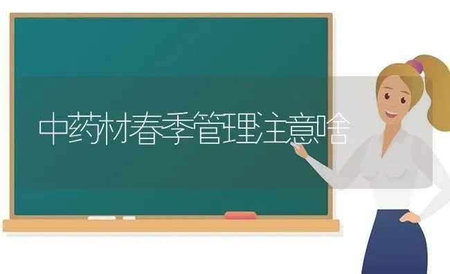 中药材春季管理注意啥 | 药材种植