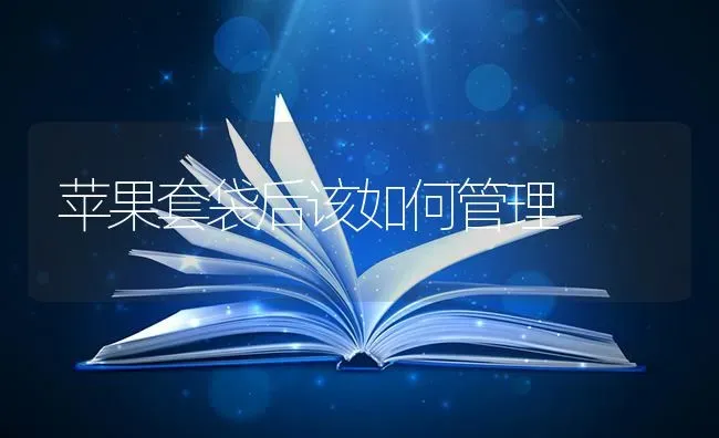 苹果套袋后该如何管理 | 瓜果种植