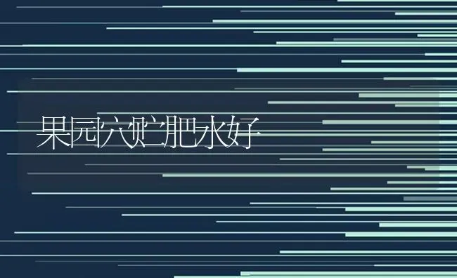 果园穴贮肥水好 | 瓜果种植